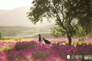 贵州哪个病院祛斑好